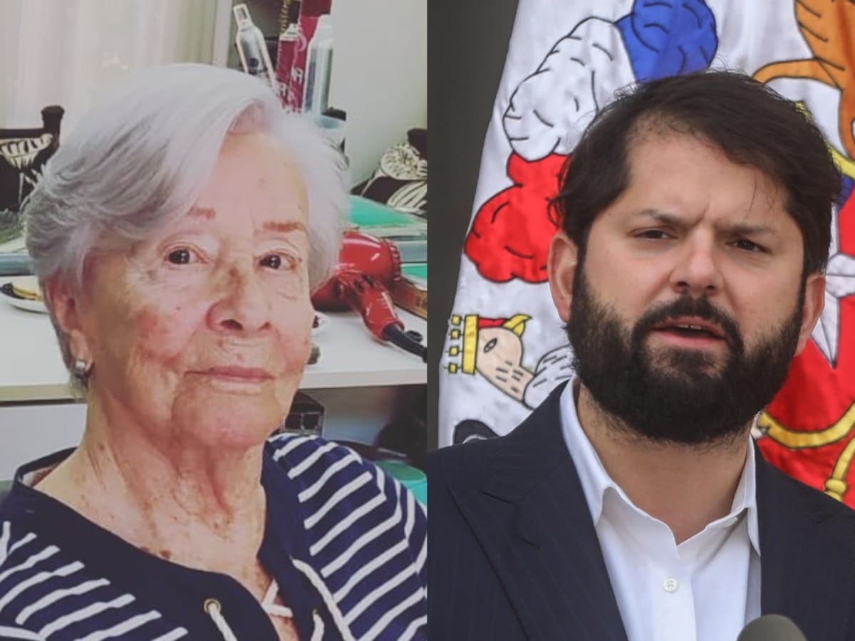 Delfina Guzmán y su pasión por el Presidente Gabriel Boric: “Al pendejo este lo encuentro absolutamente exquisito”