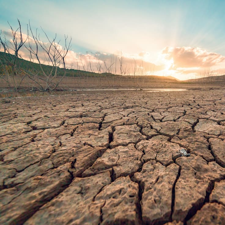 El planeta se calienta a ritmo récord: estudio revela que la última década supera cualquier período desde 1880