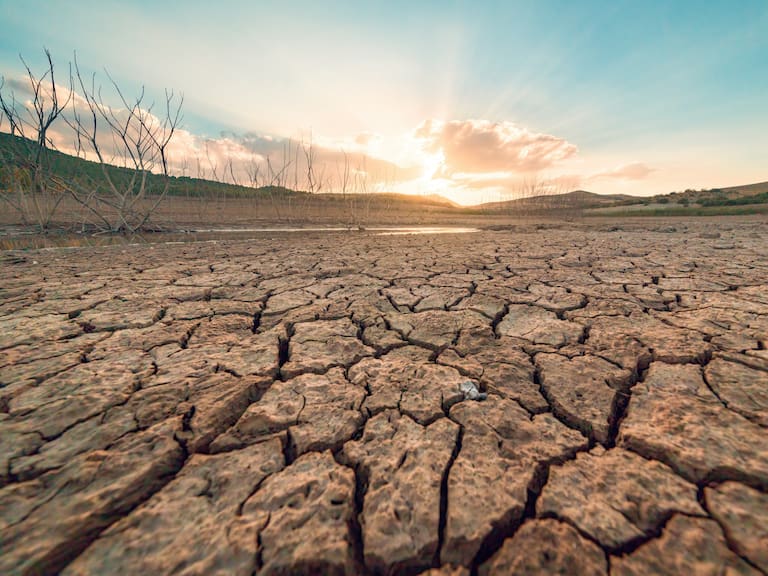 El planeta se calienta a ritmo récord: estudio revela que la última década supera cualquier período desde 1880