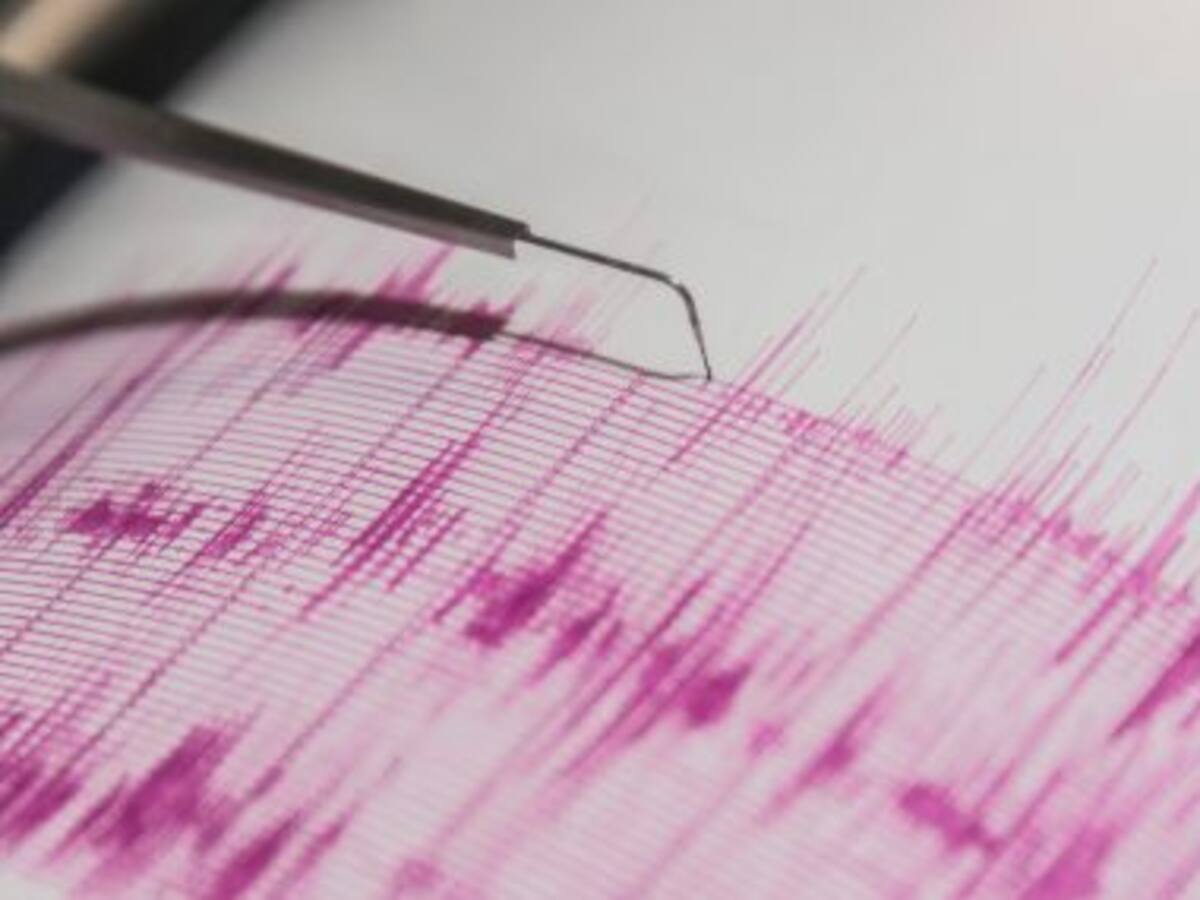 Temblor se percibe en la zona sur de Chile: revisa acá la magnitud y epicentro del sismo