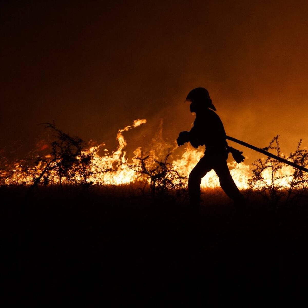 Balance de Carabineros: 31 personas han sido detenidas por presunta participación en incendios forestales