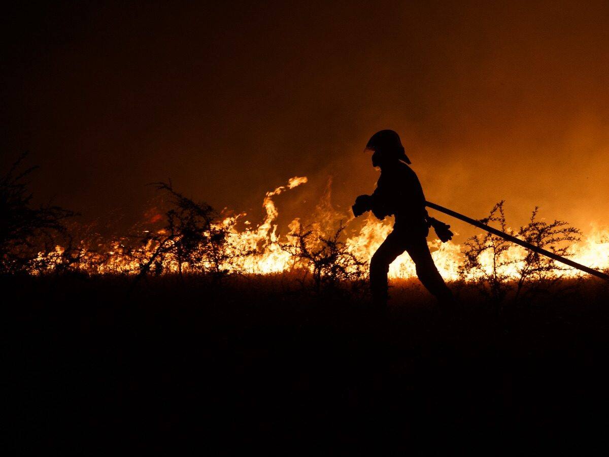 Balance de Carabineros: 31 personas han sido detenidas por presunta participación en incendios forestales