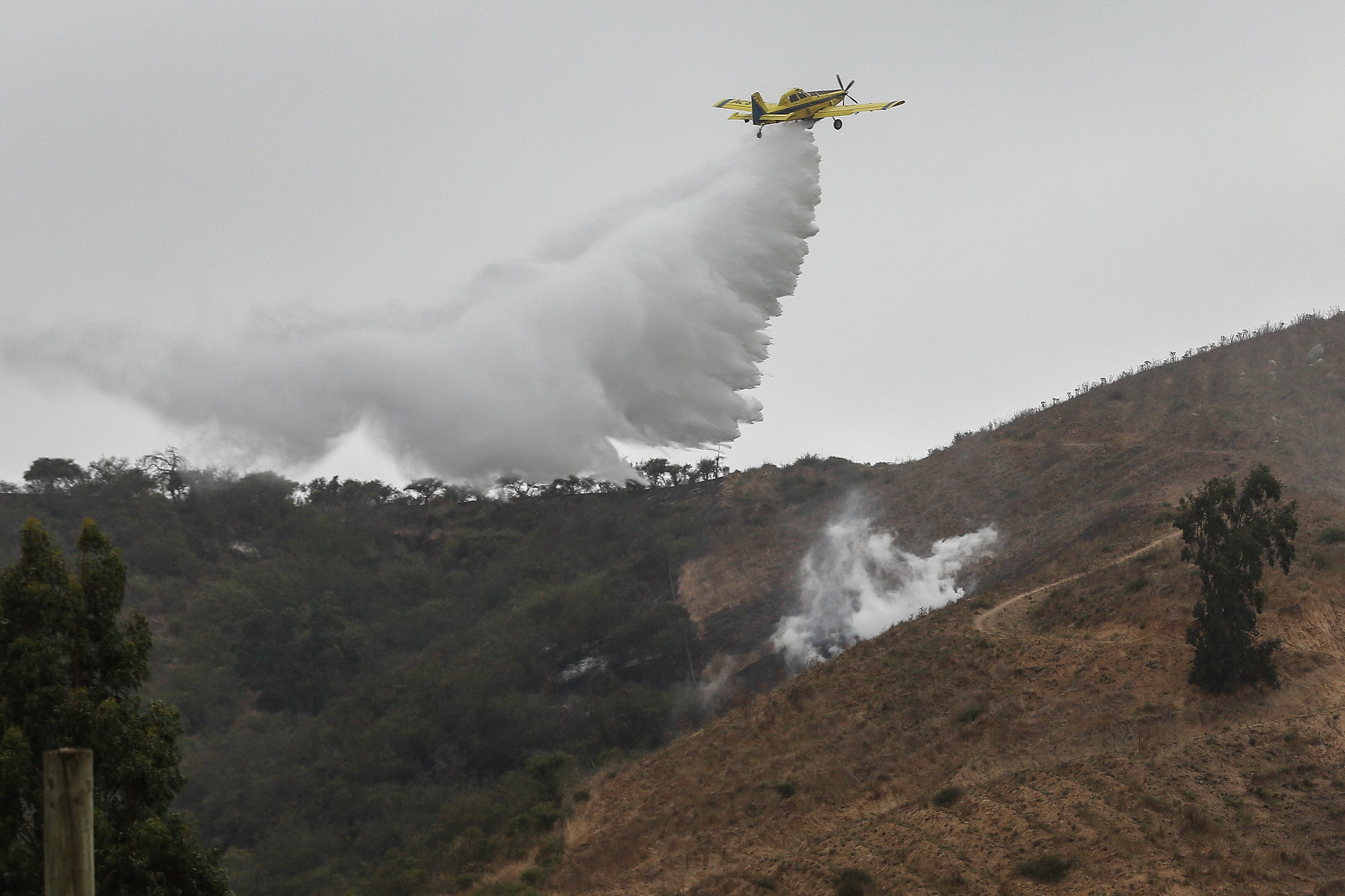 Solicitan evacuar sector San Luis en La Araucanía por incendio forestal