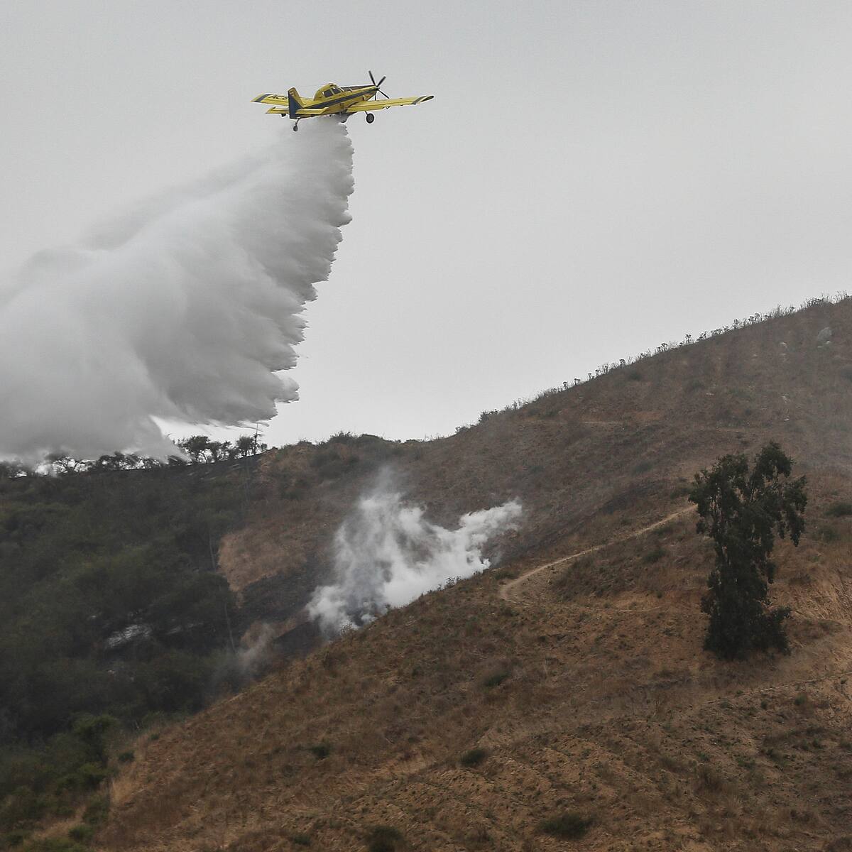Decretan alerta roja por incendios forestales en Puerto Montt, Dalcahue y Queilén