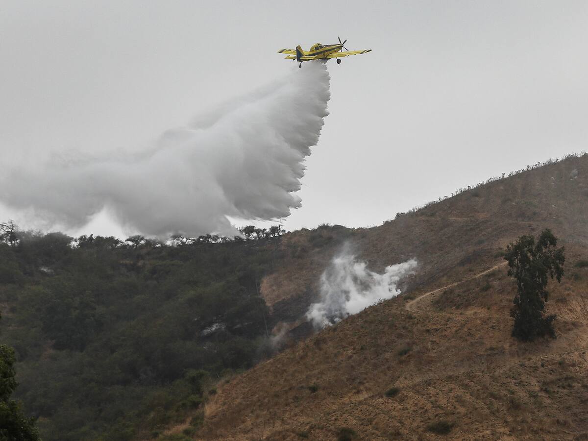 Solicitan evacuar sector San Luis en La Araucanía por incendio forestal