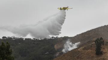 Solicitan evacuar sector San Luis en La Araucanía por incendio forestal
