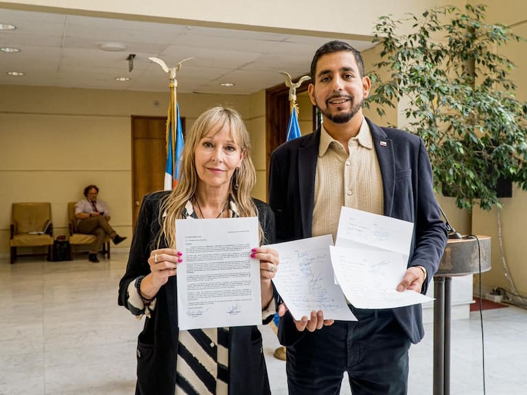 Diputados piden a Presidente Boric cambiar clasificación del cannabis