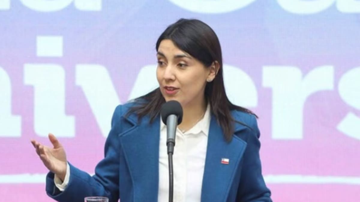 Femicidio en Renaico eleva a 29 los casos en el país: Ministerio de la Mujer anuncia querella