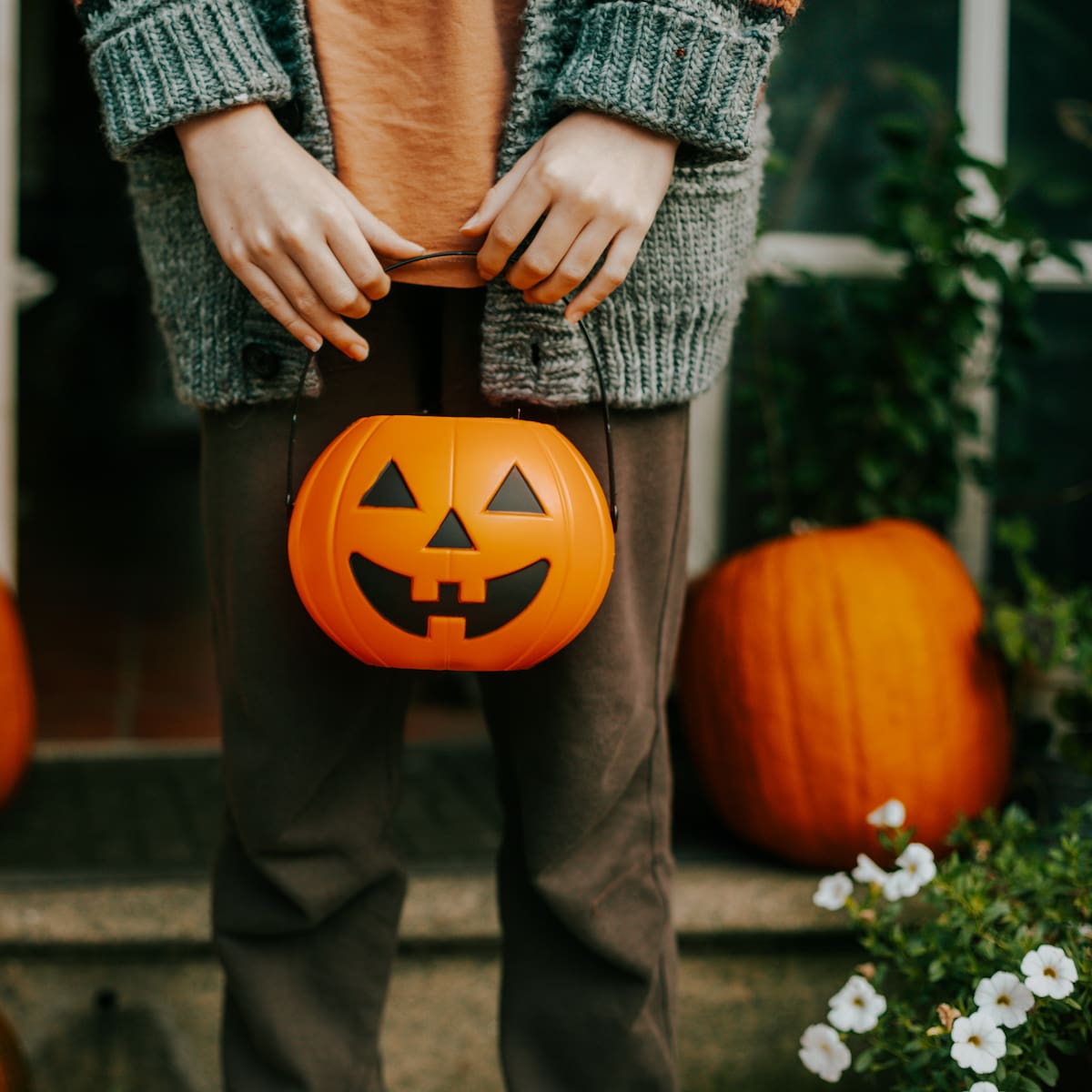 Las mejores películas de culto en streaming para este Halloween: Recomendaciones imperdibles para pasar un fin de semana de terror
