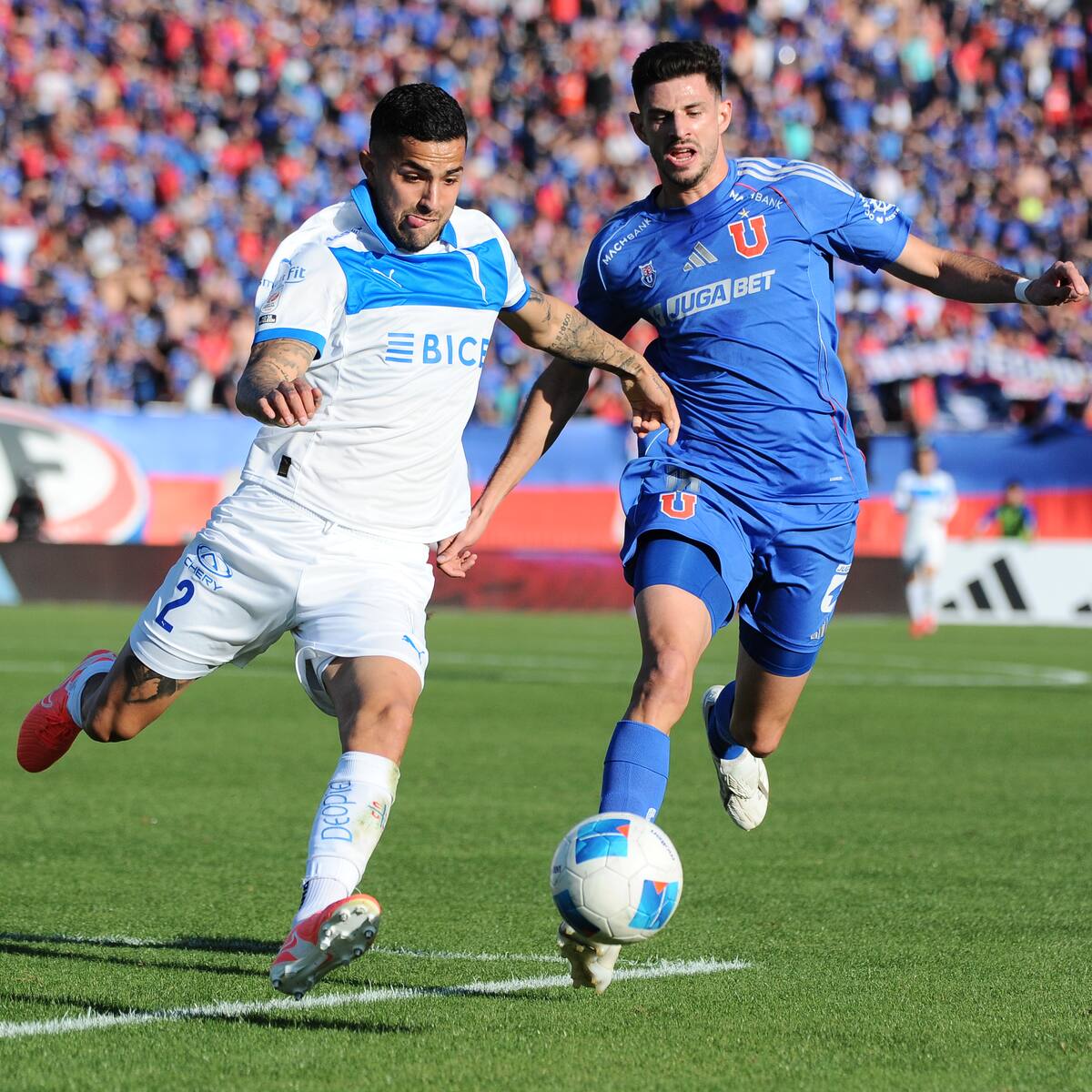 Programación fútbol chileno: ¿Qué partidos se juegan hoy, 26 de octubre, y quién transmite?