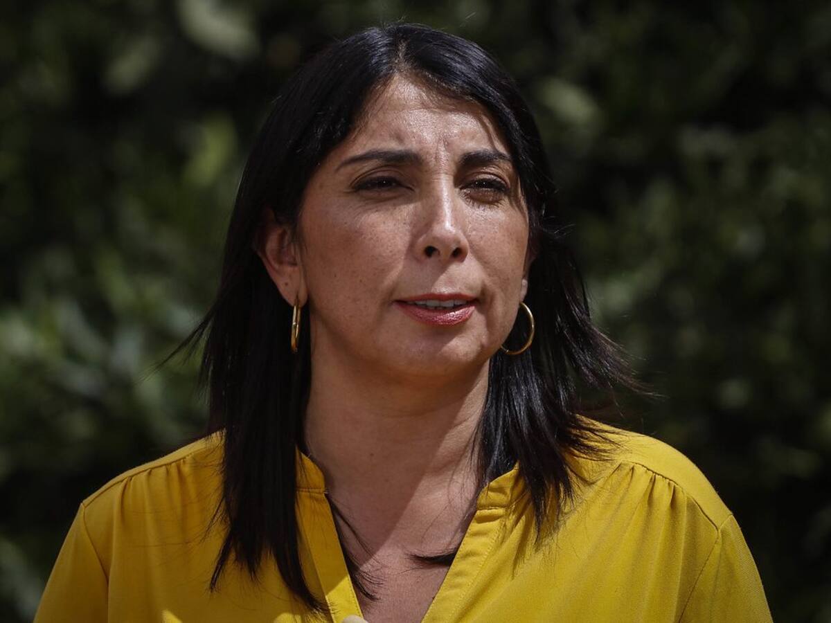 Vocera de Gobierno explicó financiamiento para la realización del examen por Covid-19