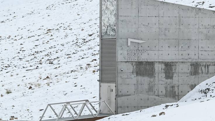 Banco mundial de semillas: así funciona el “Arca de Noé” que conserva la biodiversidad para el futuro