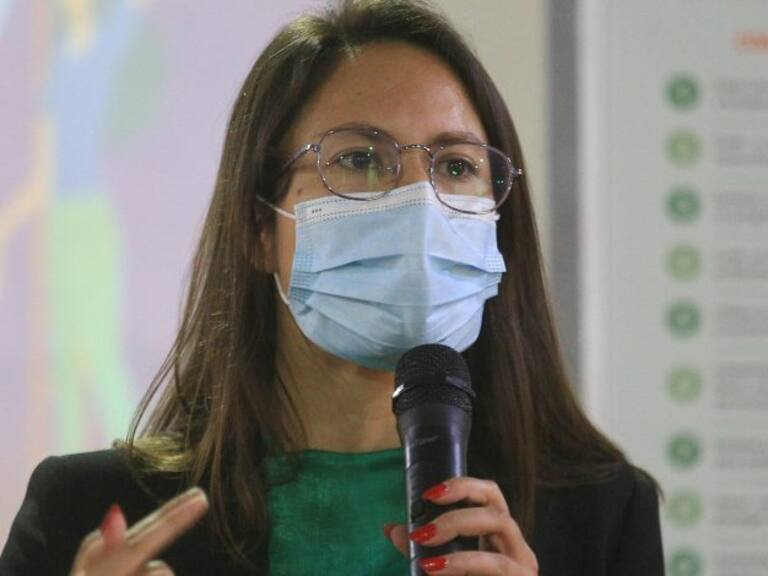 Irací Hassler: «Lamento que sin autorización se haya pintado parte del Parque San Borja incluyendo imágenes de sexo explícito»