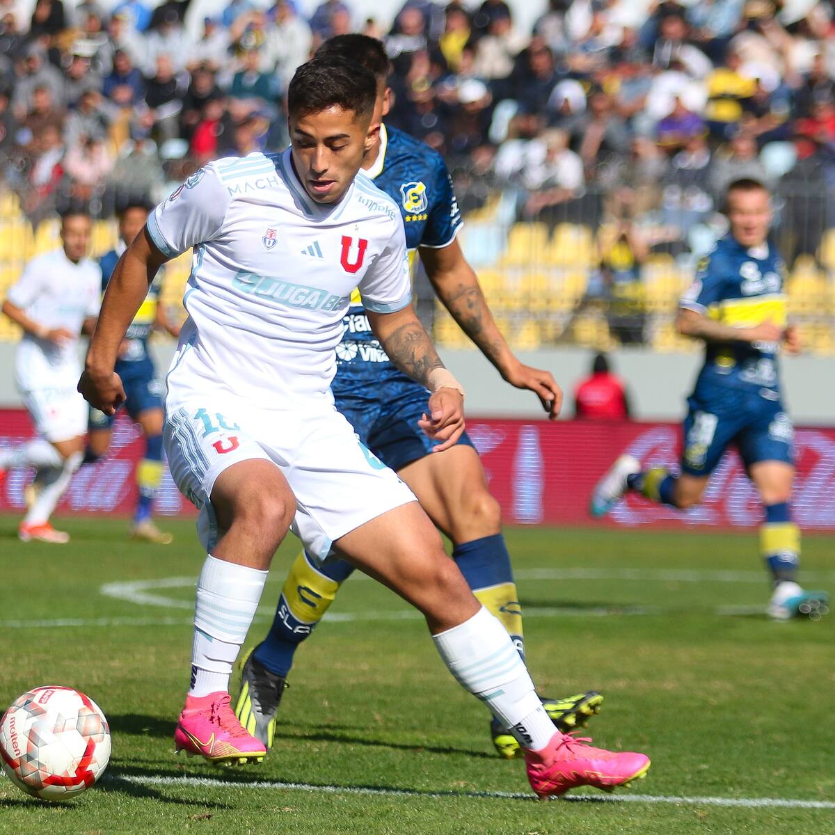 “¡Con un saco de plata!”: Desde Europa llegó millonaria oferta por el pase de Lucas Assadi