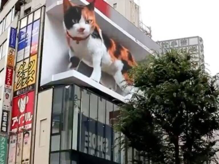 Cosas que pasan en Japón: el gigantesco gato que asusta a los habitantes del centro de Tokio