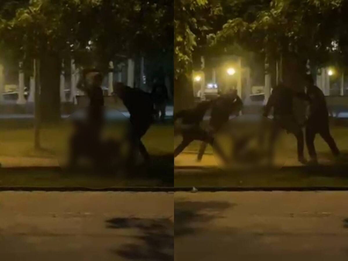 Joven de 22 años es asesinado en Limache: fue golpeado y apuñalado en un parque por 4 sujetos