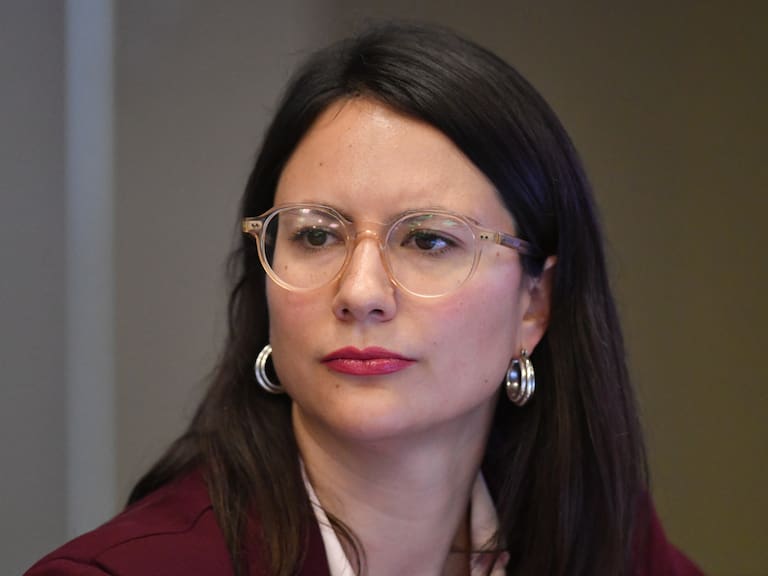 Diputada Irací Hassler | Agencia Uno