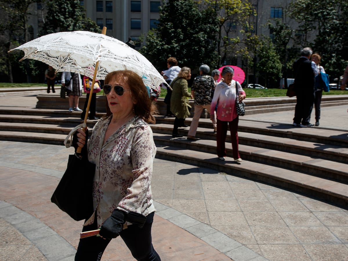 Estudio de la UC aborda las amenazas de las altas temperaturas: especialista reconoce que “no hay nada que podamos hacer en el corto plazo”