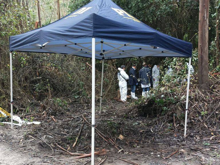 PDI, hualpén, decapitado, 1024x576 jpg ok