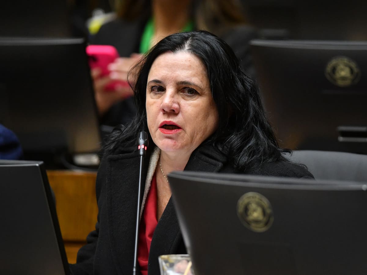 Revierten el rechazo de la semana pasada: Cámara aprueba comisión investigadora por gestión de Trinidad Steinert