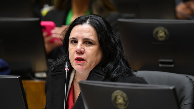 Ministra Steinert tras polémica presentación en el Congreso: “No esperaba la exigencia de un plan de seguridad concreto”