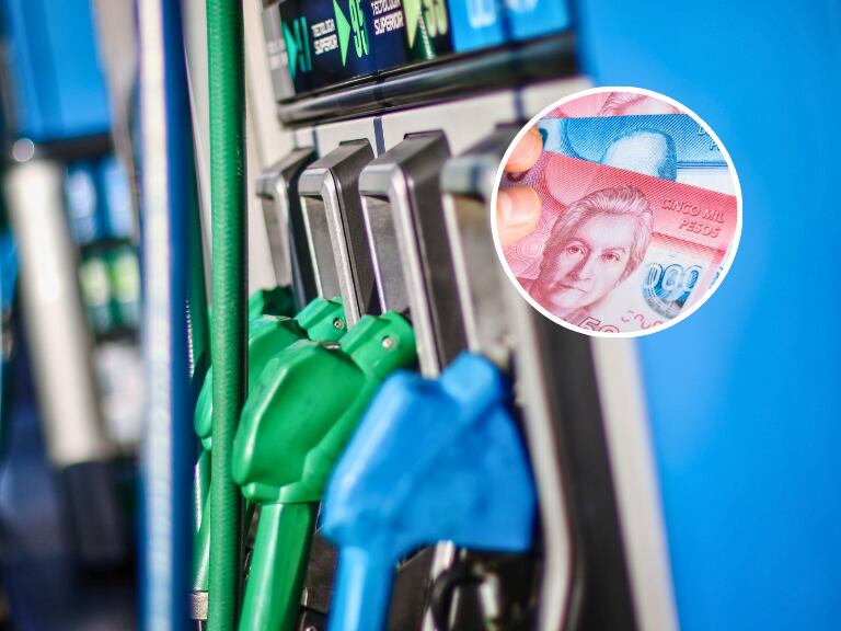 Revelan que el Gobierno evalúa que se venda gasolina con etanol para reducir costos y enfrentar alza de bencinas