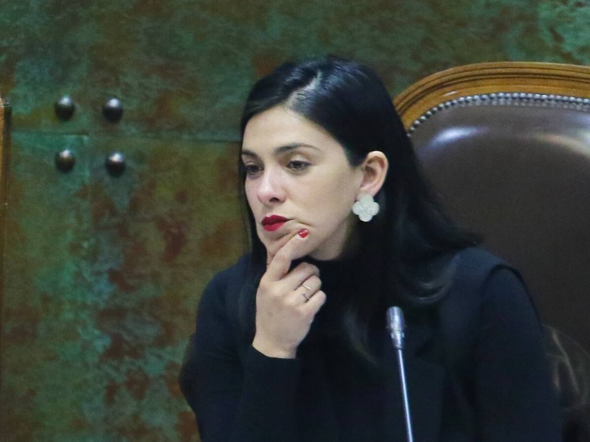 Nueva arista del caso Sierra Bella: allanan departamento de diputada Karol Cariola en investigación por presunto tráfico de influencias