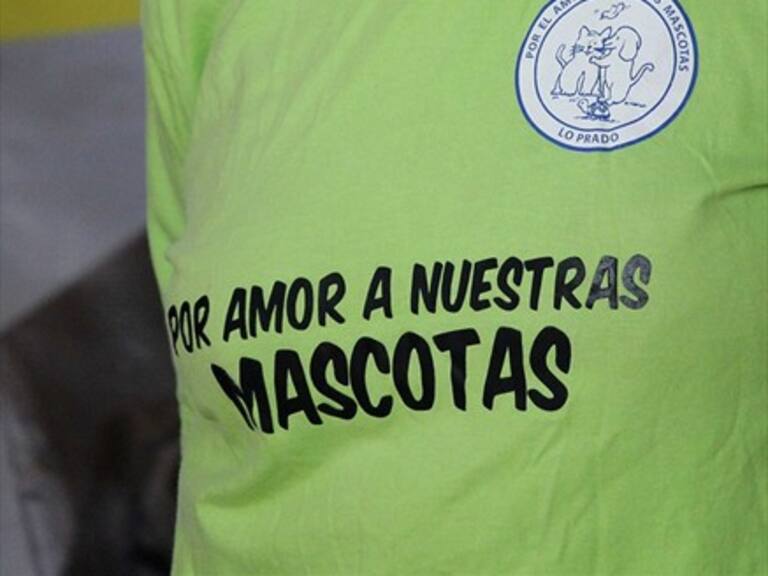 Mediodía en ADN: los vacíos reglamentarios de la tenencia responsable de mascotas