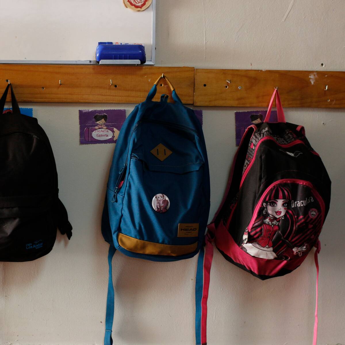 Revés para el Gobierno: TC declara inconstitucionales inhabilidad para acceder a la gratuidad y revisión de vestimentas en colegios