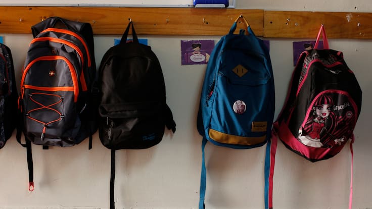 Revés para el Gobierno: TC declara inconstitucionales inhabilidad para acceder a la gratuidad y revisión de vestimentas en colegios