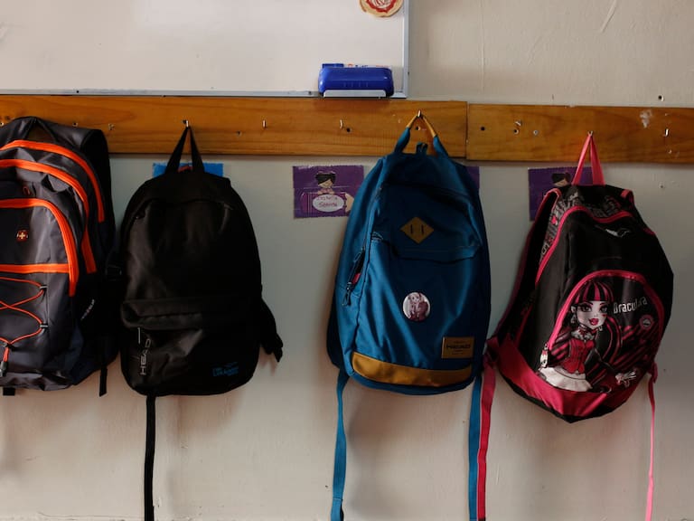 Revés para el Gobierno: TC declara inconstitucionales inhabilidad para acceder a la gratuidad y revisión de vestimentas en colegios