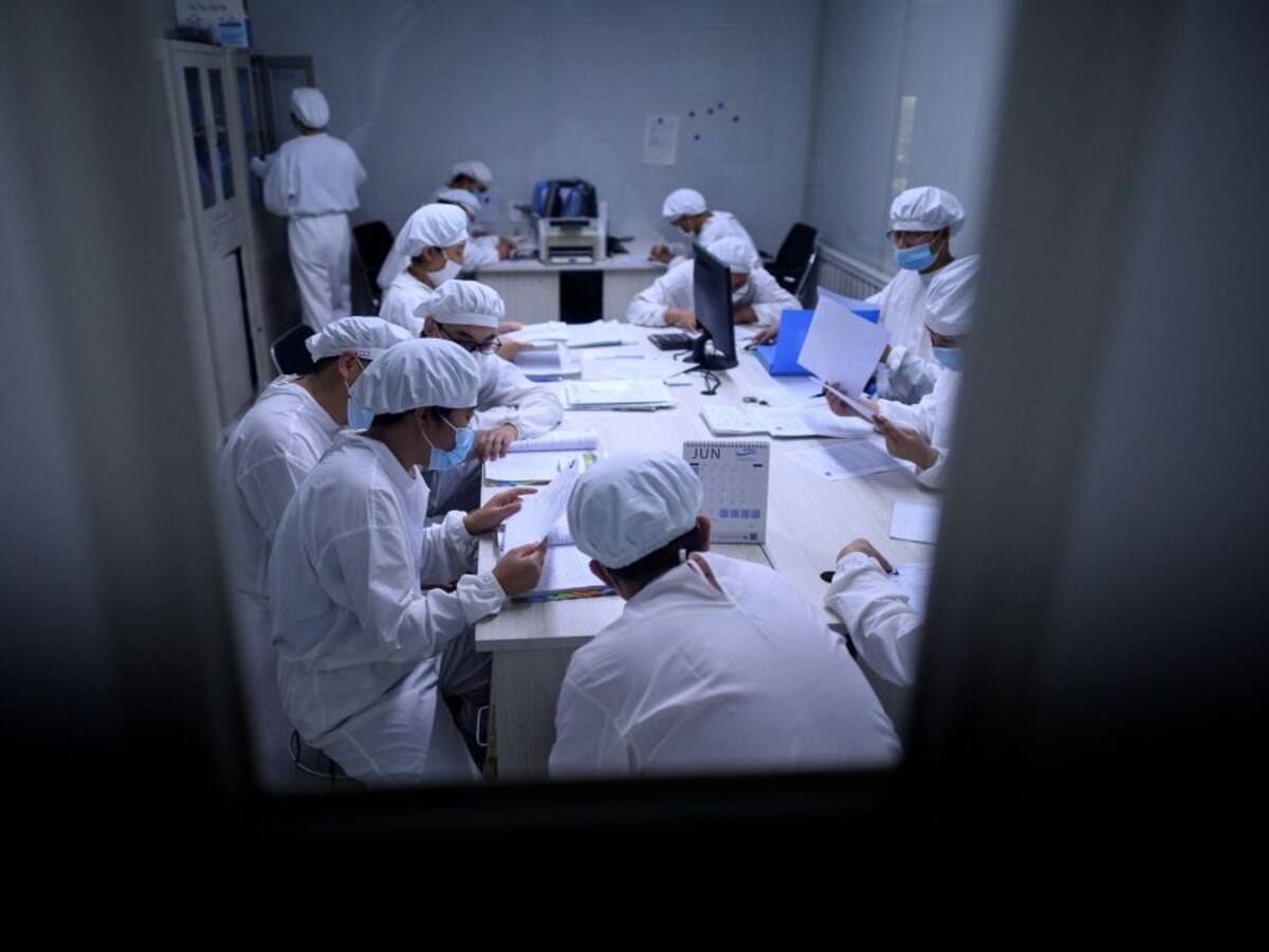 OMS descartó que la vacuna contra el coronavirus esté lista durante el 2020
