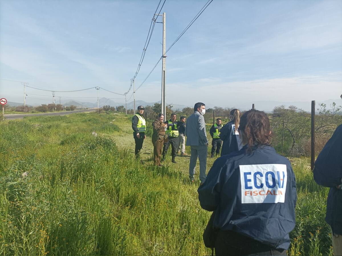 Terrible hallazgo en Colina: encuentran cráneo humano en avanzado estado de descomposición