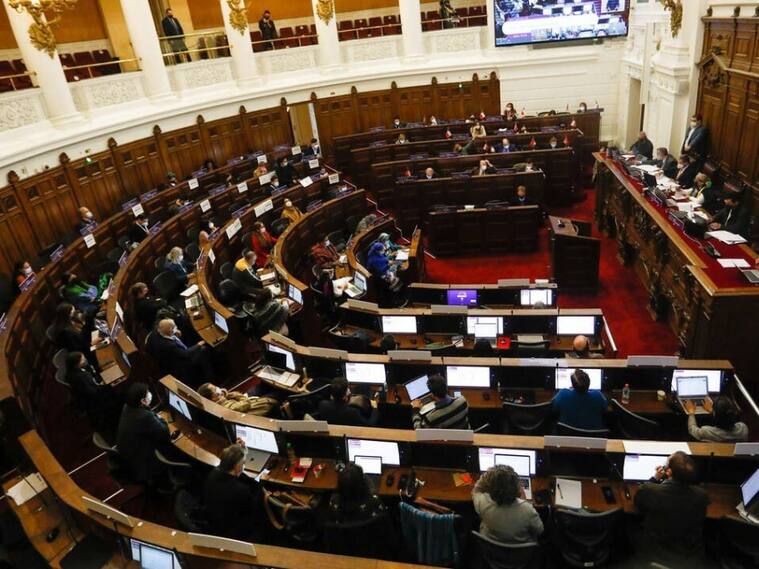 Convención Constitucional - Derechos Sexuales y reproductivos - aborto