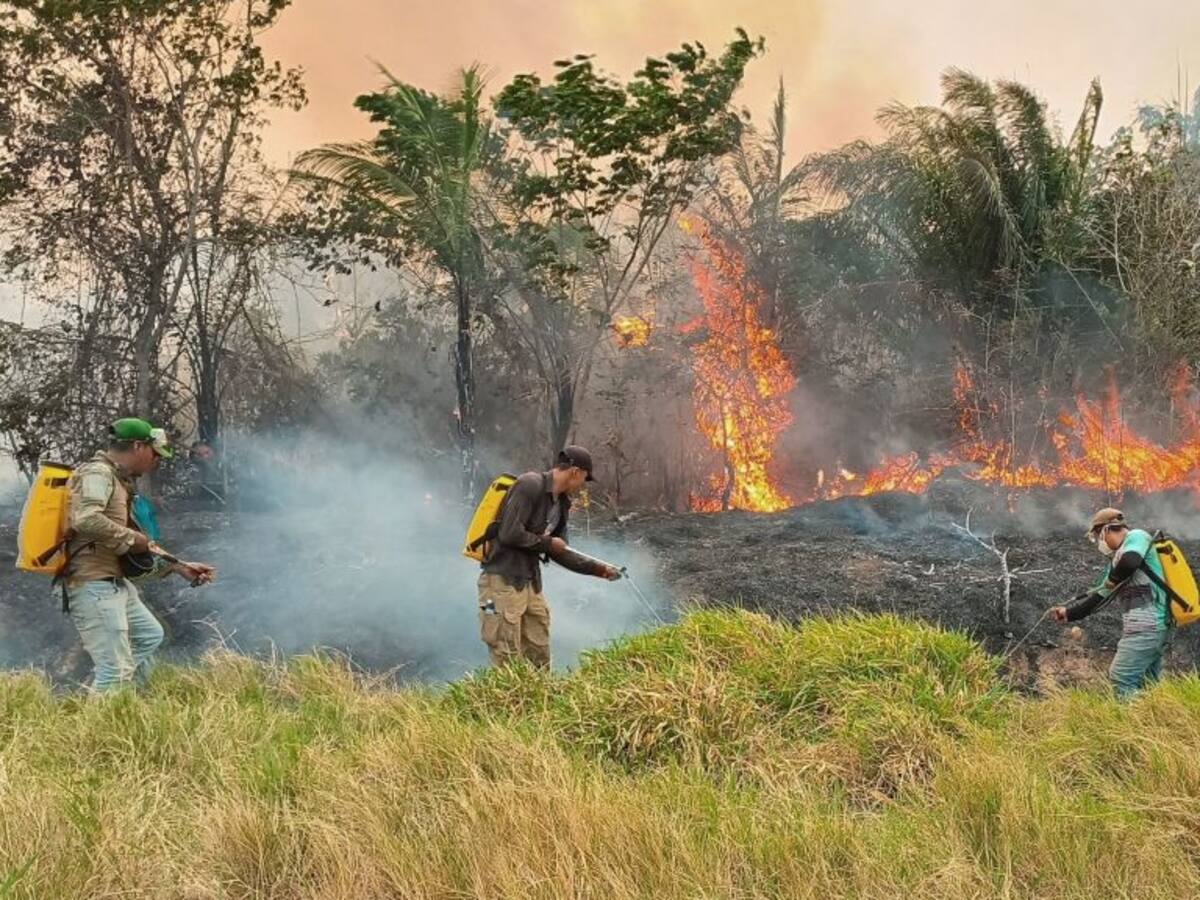 Más de 50 personas son detenidas en Bolivia por incendiar bosques de reservas naturales