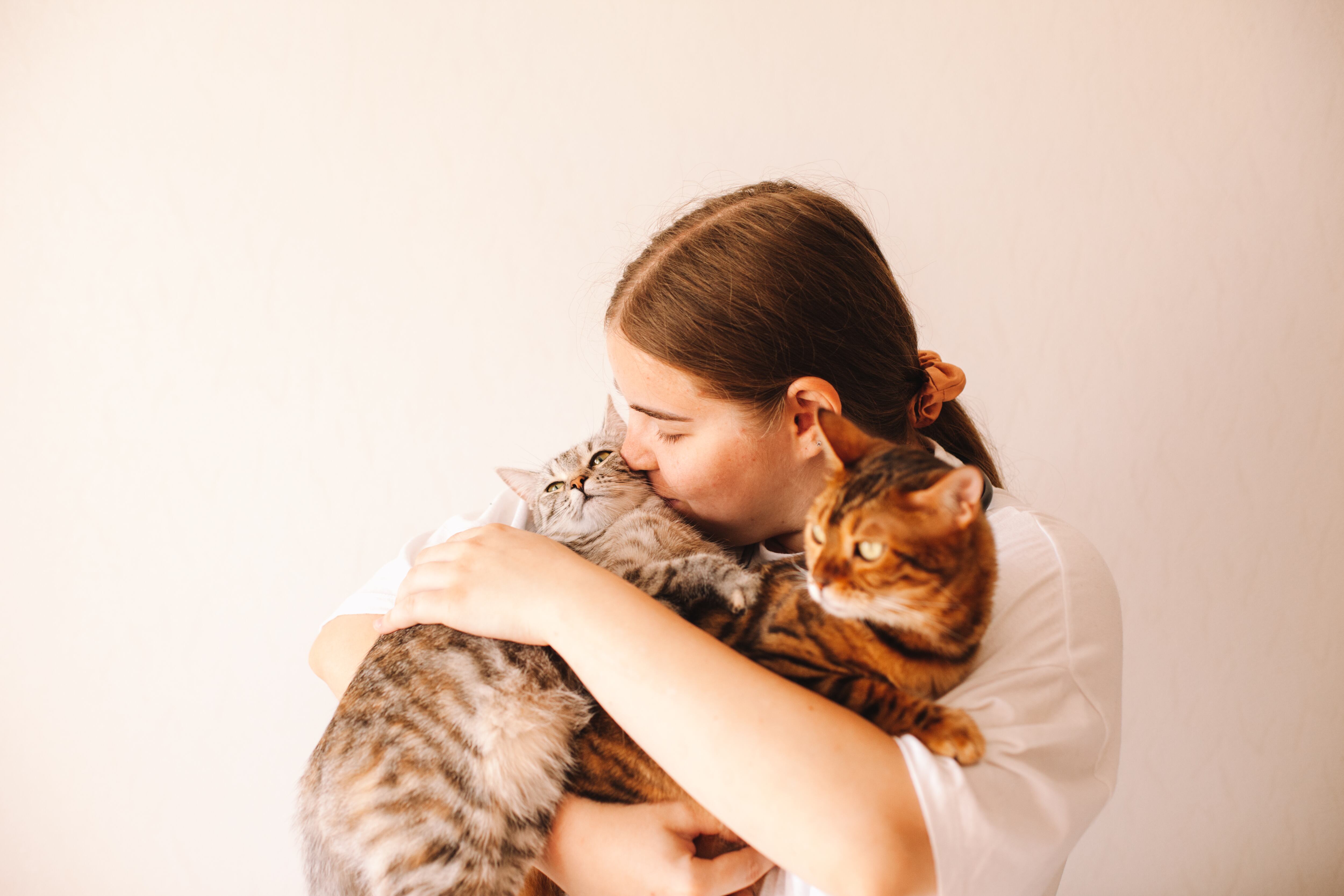 Estudio revela nueva explicación sobre cómo los gatos logran caer sobre sus patas