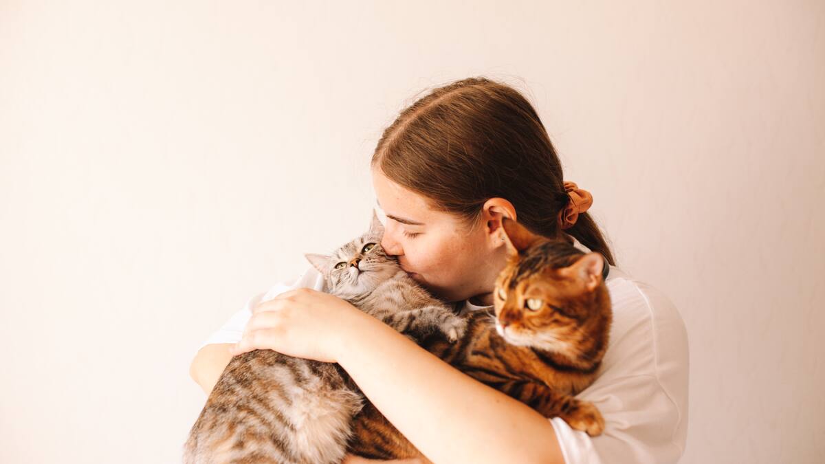 Estudio revela nueva explicación sobre cómo los gatos logran caer sobre sus patas