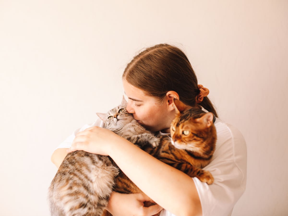 Estudio revela nueva explicación sobre cómo los gatos logran caer sobre sus patas