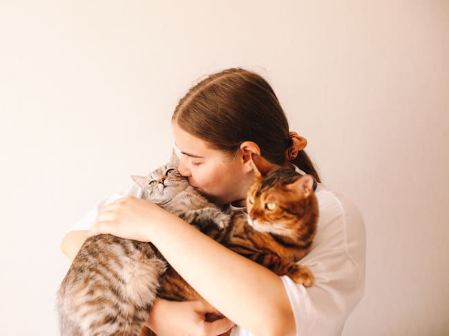 Estudio revela nueva explicación sobre cómo los gatos logran caer sobre sus patas