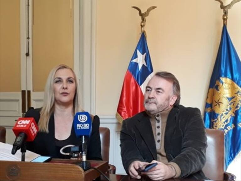 Jiles y Auth presentaron indicación al proyecto de Ley de Adopciones
