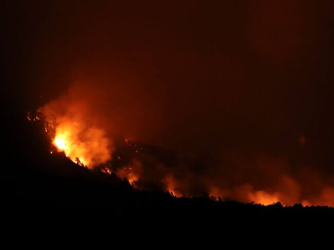 Imagen del fuego que afecta bosques en la zona de Paraje Villegas
