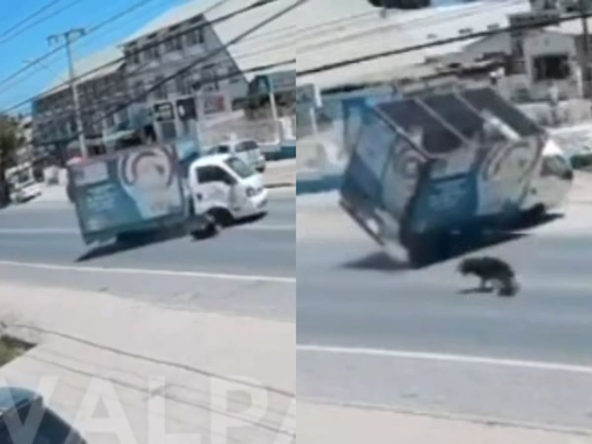 Esquivó a un perro y volcó: video capta feroz accidente de camión de gas en El Quisco