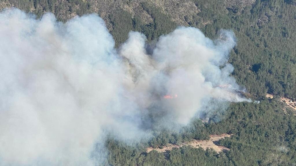 Sigue incendio forestal en Laguna Verde. Conaf advierte que ya van cerca de 80 hectáreas consumidas por las llamas