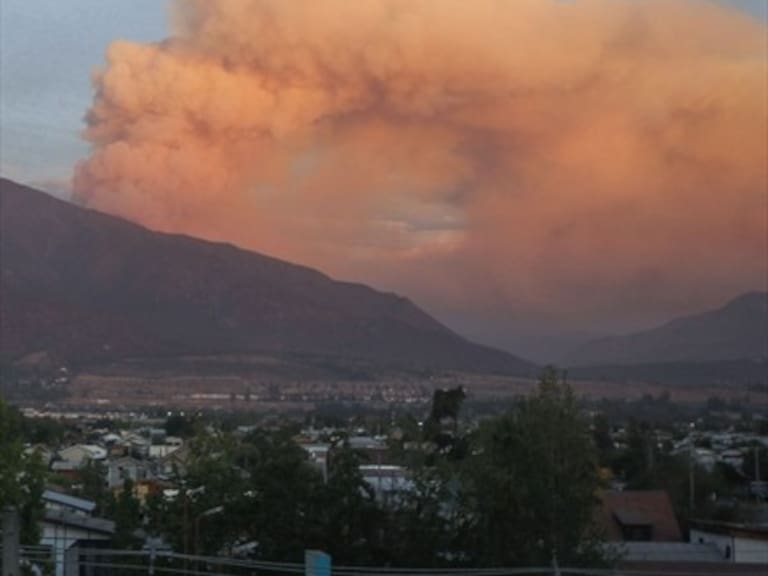 Incendio forestal se registra en San José de Maipo