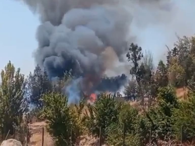 Puente Alto: reportan incendio forestal en el Hospital Psiquiátrico El Peral