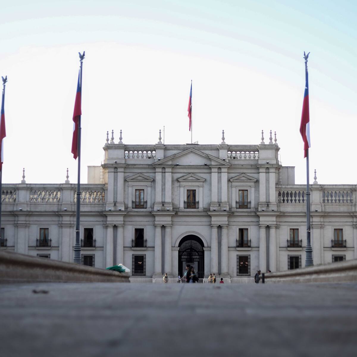 Famosa vidente se la juega con el nombre de quién llegará a La Moneda: le apuntó a todo lo que pasó en las primarias