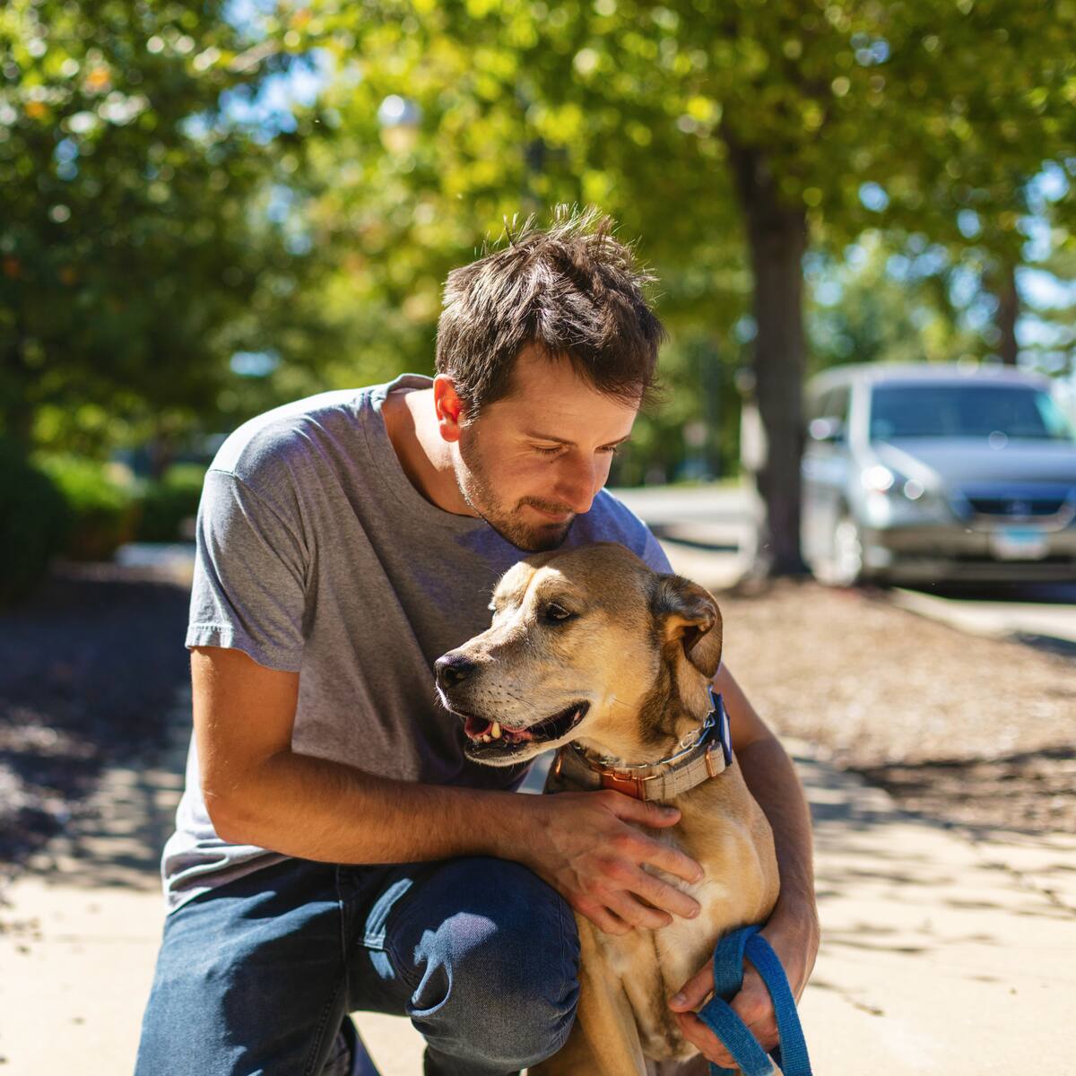 Investigación revela cómo el contacto con perros impacta directamente en tus emociones