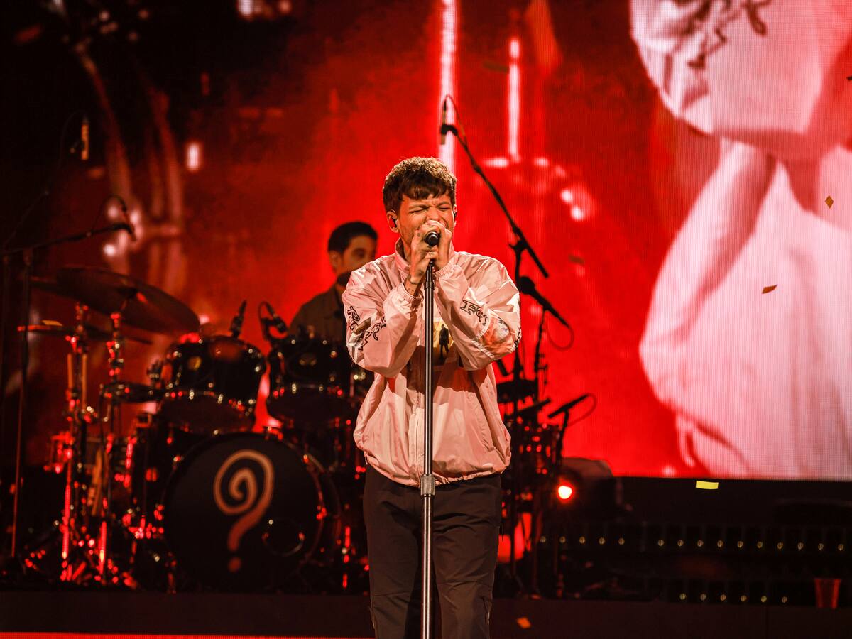 Ex One Direction publicó fotografía y realizó inesperado anuncio relacionado con Chile