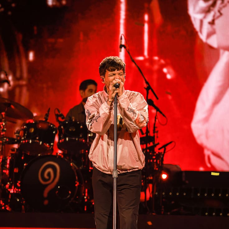 Ex One Direction publicó fotografía y realizó inesperado anuncio relacionado con Chile