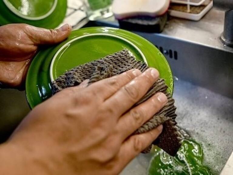 Bono Protección: Cómo puede acceder a este beneficio no postulable